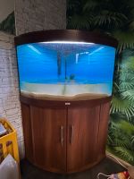 Aquarium Juwel Trigon 190L Mit Unterschrank Baden-Württemberg - Wittlingen Vorschau