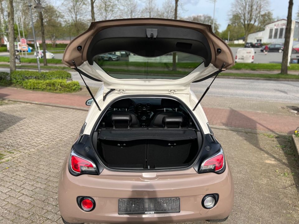 Opel Adam James Brown/Creme in Hohenwestedt