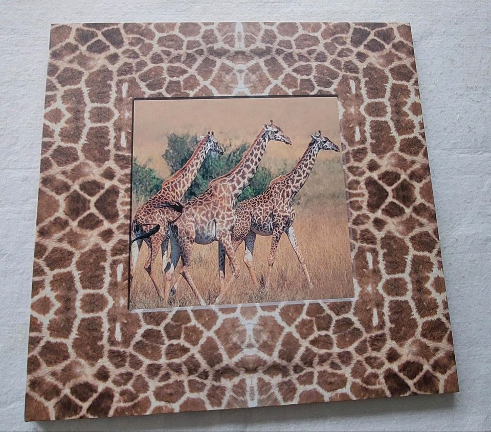 Bild mit Giraffe Motiv in Wegberg