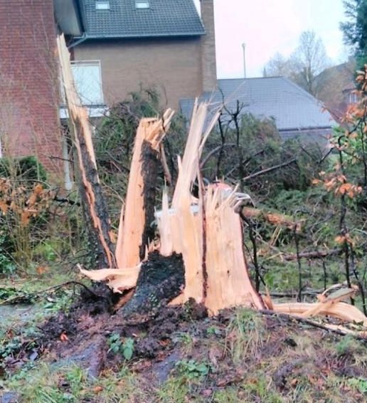 Sturmschadenbeseitigung Windbruch Sturm Sturmschaden in Beckum