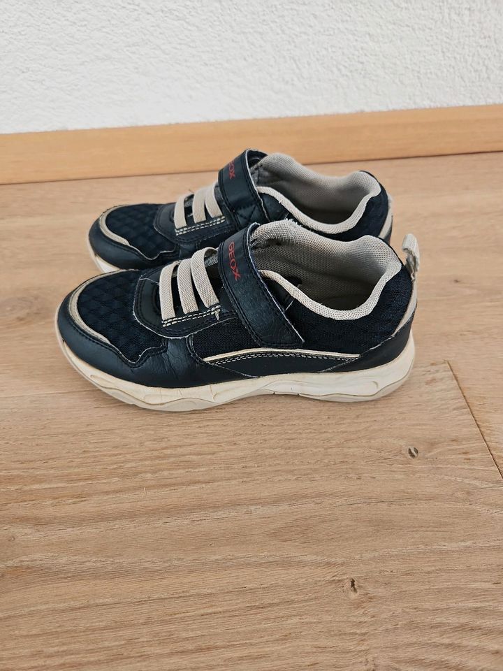 Geox Sneaker Gr. 32 in Hüttlingen