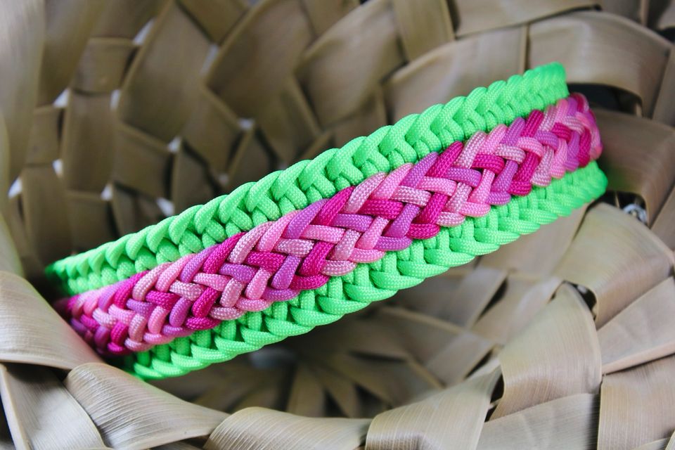 Paracord Halsband Hund Halsumfang 50 cm Neon neu in Berlin