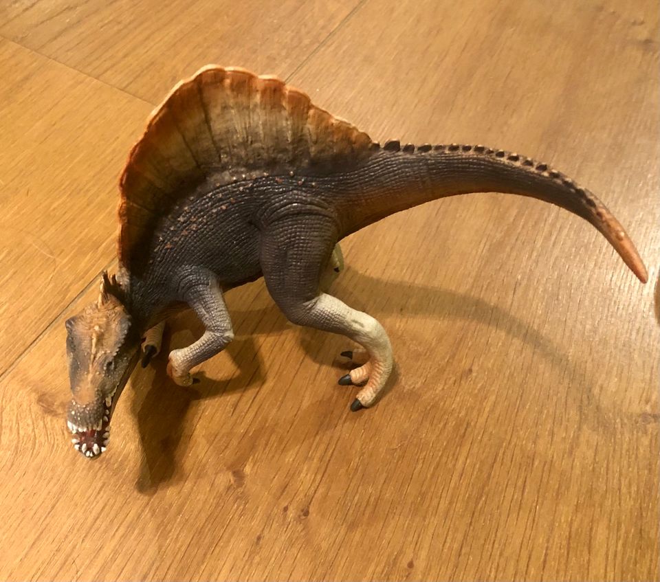 „Schleich“ Dinosaurier mit beweglichem Maul!!! in Grünberg