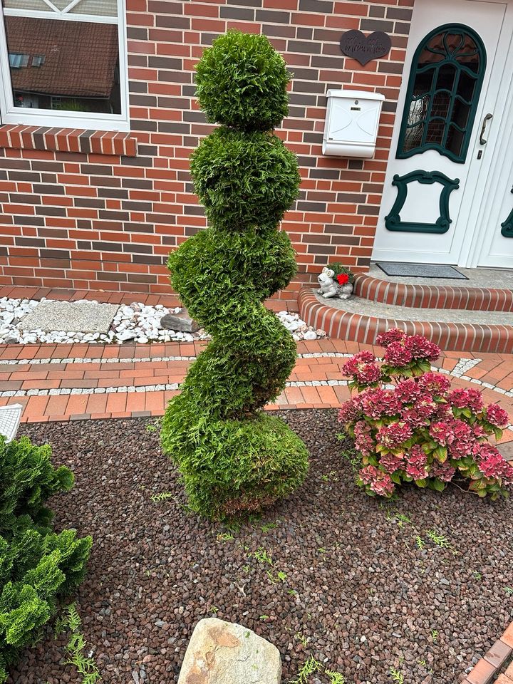 Hecke schneiden und Heckenformschnitt in Norden