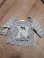 Langarmshirt Gr. 56 baby Bluse Velours Nordrhein-Westfalen - Morsbach Vorschau