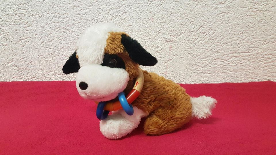 Plüschspielzeug Hund mit Halsband-Versand möglich in Trittau