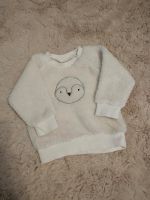 Kinderkleidung Baby Pullover 62 Niedersachsen - Lengede Vorschau