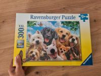 Ravensburger Puzzle 9+ Bayern - Bubenreuth Vorschau