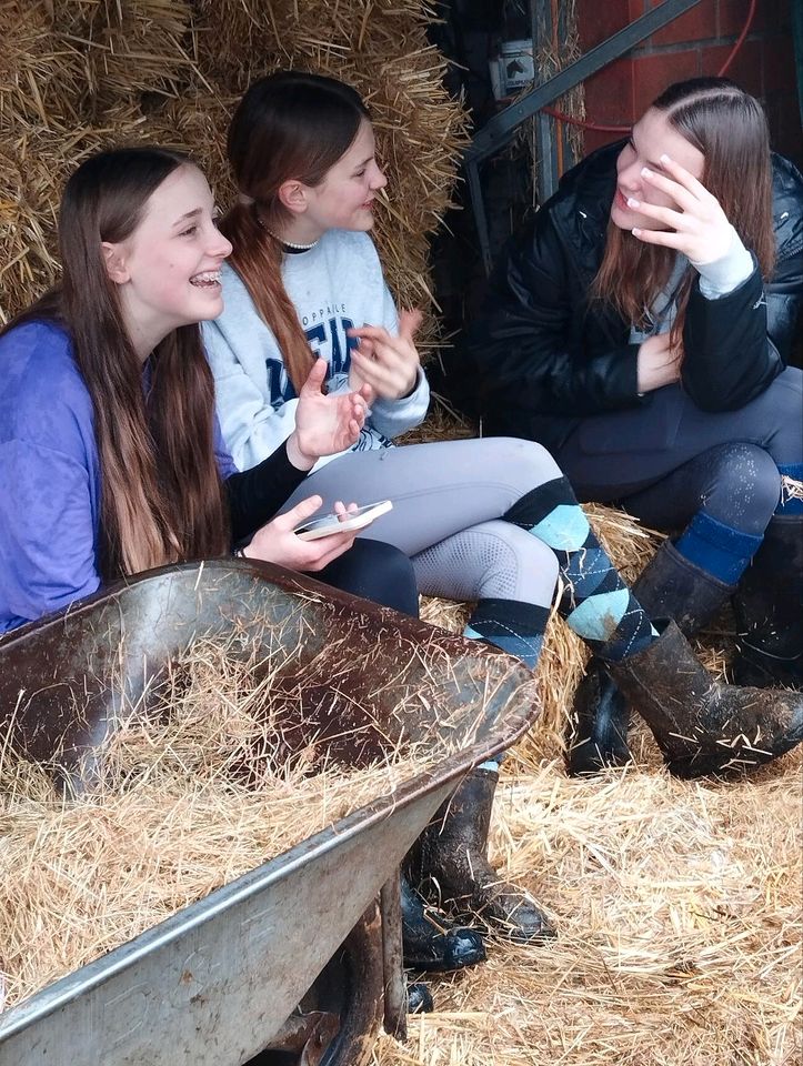 Ponycamp Ferienbetreuung Ponyreiten in den Sommerferien in Venhaus