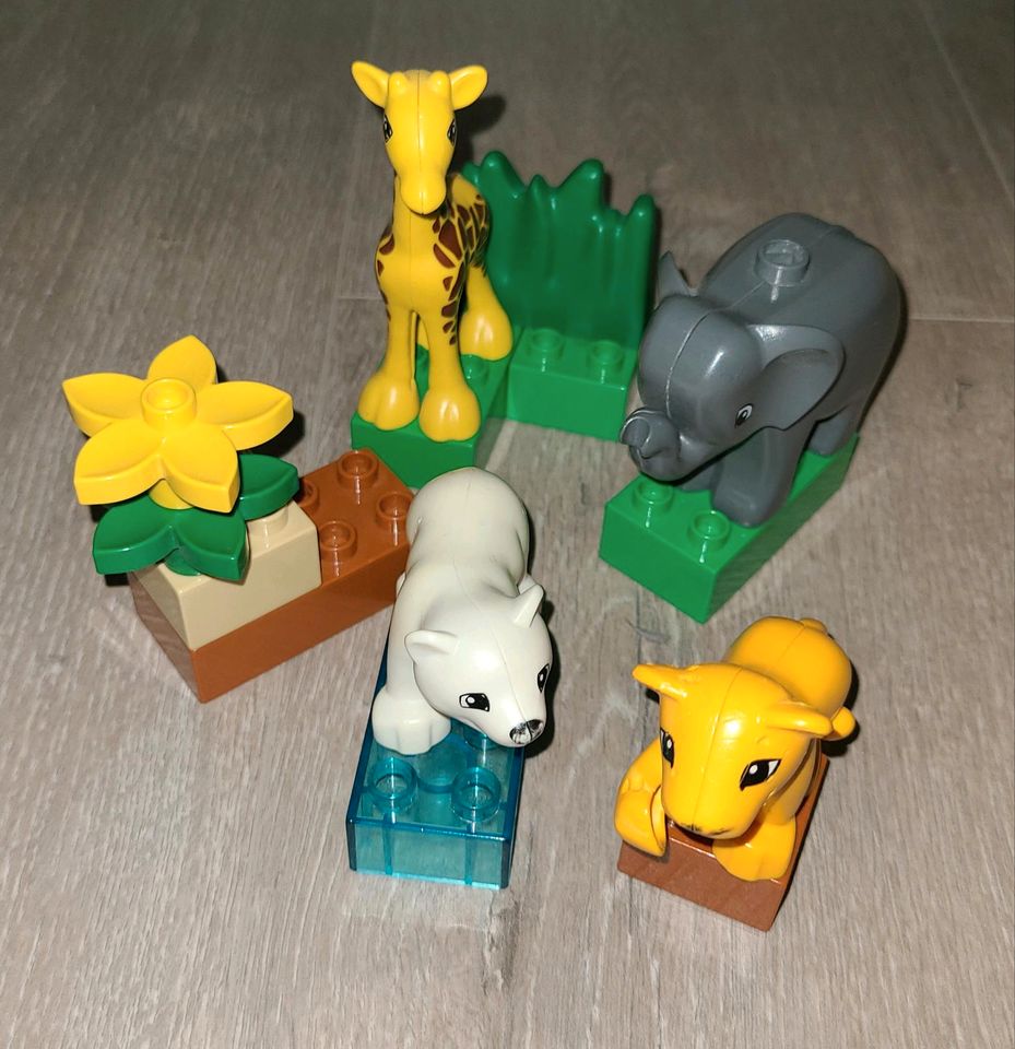 Lego duplo kleiner Zoo in Ennepetal