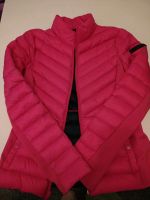 Hollister Jacke Gr. XS Brandenburg - Brieselang Vorschau