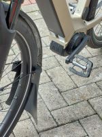 Schmutzfänger/Schutz für alle Fahrräder Nordrhein-Westfalen - Warendorf Vorschau