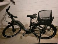 E-Bike Marke Falter - Modell E 9.0 RT 400 Kreis Pinneberg - Pinneberg Vorschau