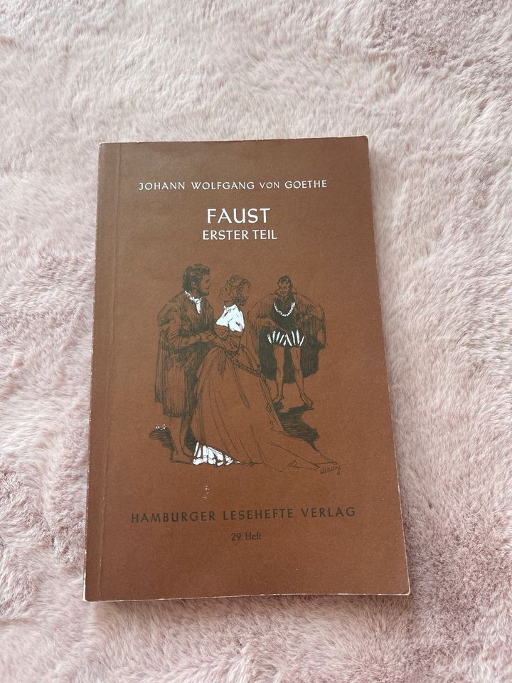 Faust erster Teil Buch in Betzdorf