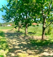 Mulchen-Mähen von Wegen-Gräben-Obstbaum Wiesen/ Grünland Nachsaat Nordrhein-Westfalen - Warburg Vorschau