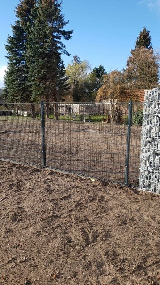 Gabionen Gabionenzaun Doppelstabmatten Sichtschutz in Ronnenberg