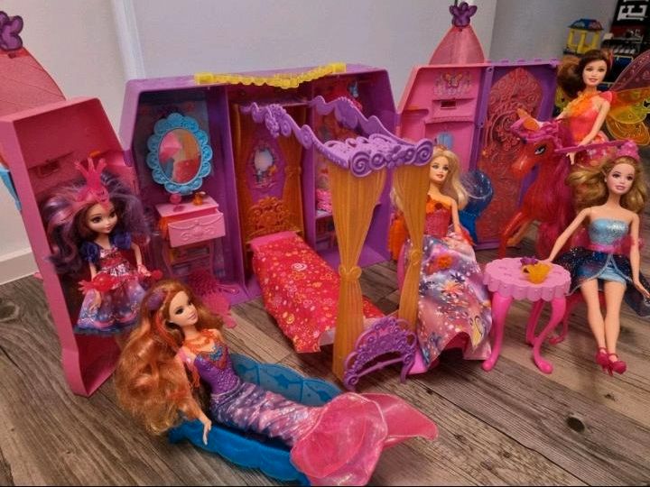 Barbie Mattel Möbel Geheime Tür Malucia Einhorn Fee Meerjungfrau in Lambrechtshagen