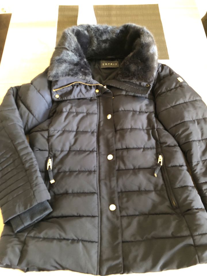 Esprit Winterjacke Gr. M  (Abnehmbarer Kragen) in Dessau-Roßlau