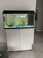 Aquarium 120L. Komplettfisch Pumpe, Filter, Heizung, Dekorationen Niedersachsen - Osnabrück Vorschau