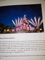 Erlebnis Gutschein Disney land Bayern - Wiesenfelden Vorschau
