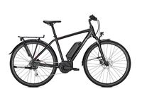 Raleigh Stoker LTB High/Mid, Bosch 500 Wh *NEU* diverse Größen Baden-Württemberg - Eimeldingen Vorschau