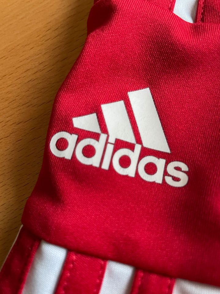 Adidas Sport Shirt, Kids, Gr.152, rot in Ahaus