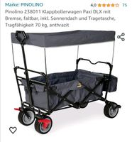 Pinolino Klappbollerwagen Paxi DLX Baden-Württemberg - Weinsberg Vorschau