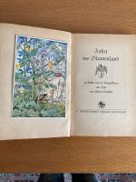 Blumen Kinderbuch vintage Münster (Westfalen) - Geist Vorschau