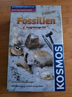 Fossilien-Ausgrabungs-Set von Kosmos für Kinder ab 7 Jahre Hessen - Freigericht Vorschau