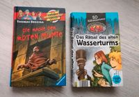 Die Rache der roten Mumie + das Rätsel des alten Wasserturms Niedersachsen - Giesen Vorschau