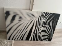 Zebra Bild Schleswig-Holstein - Harrislee Vorschau