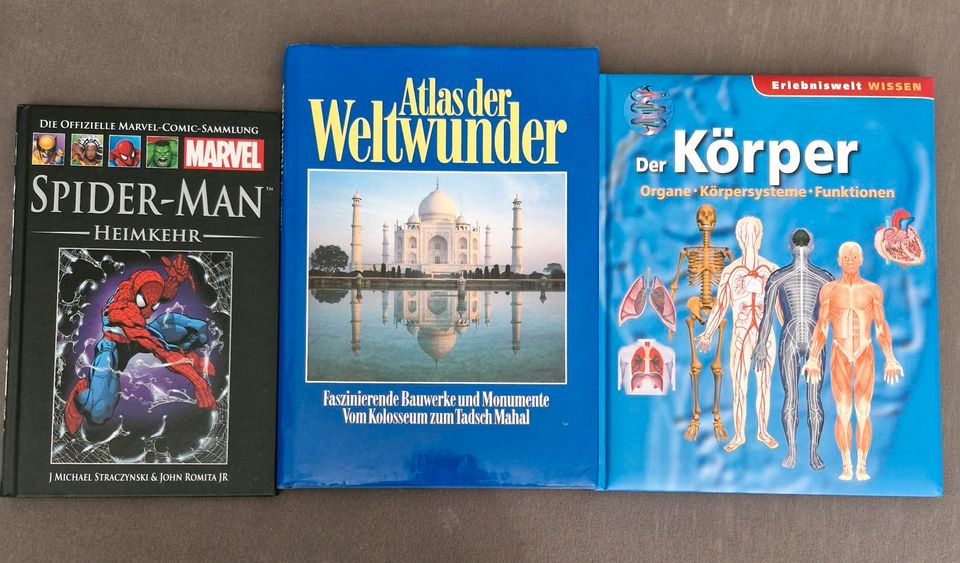 Bücher / Comics in Potsdam