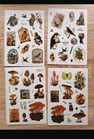 20 Stickerbögen sticker Vintage Blumen Scrapbooking Baden-Württemberg - Rheinstetten Vorschau