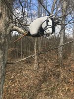 Hobby Horse weiß Bayern - Kaisheim Vorschau