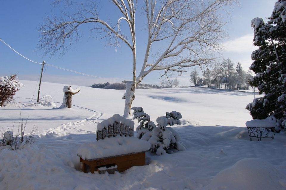 Urlaub im Allgäu in der Natur, Ferienwohnung auf dem Eselhof in Bad Grönenbach