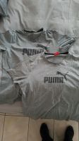Puma T-Shirt zwei Stück Größe L grau Rheinland-Pfalz - Budenheim Vorschau