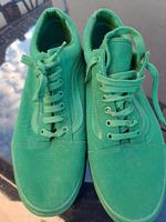 Vans Old Skool Verdant Grün 46 Hessen - Gießen Vorschau