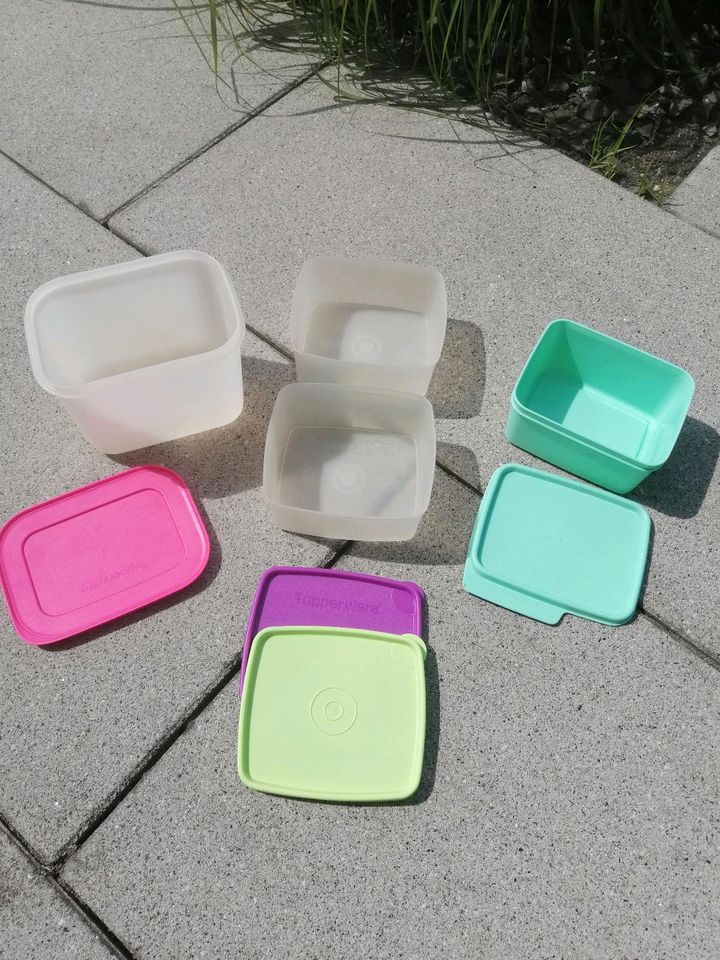 Tupperware Vorratsdosen / Gefrierdosen Set in Dorsten