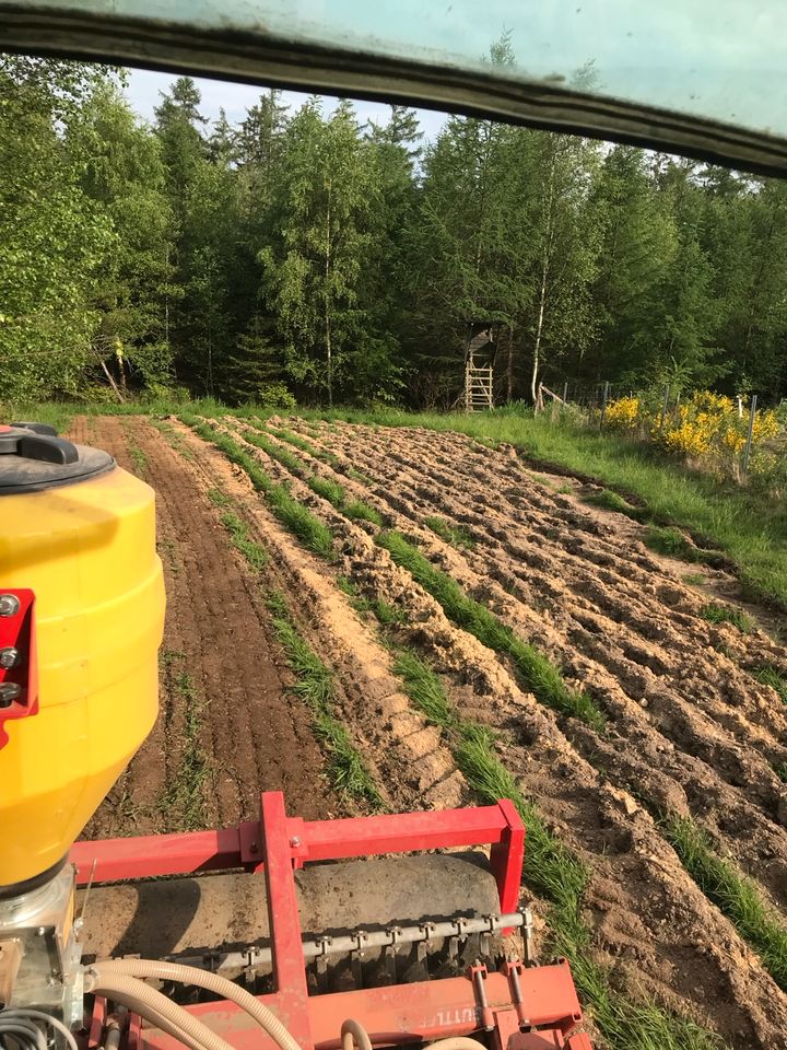 Blühstreifen Bienenwiese Neuansaat Mulchen Jagd in Kreuztal