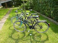 Fahrräder aus den 80ern KETTLER Alu-Rad Paramount St Saarland - Perl Vorschau