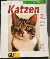 Katzen richtig pflegen und verstehen Baden-Württemberg - Weilheim an der Teck Vorschau