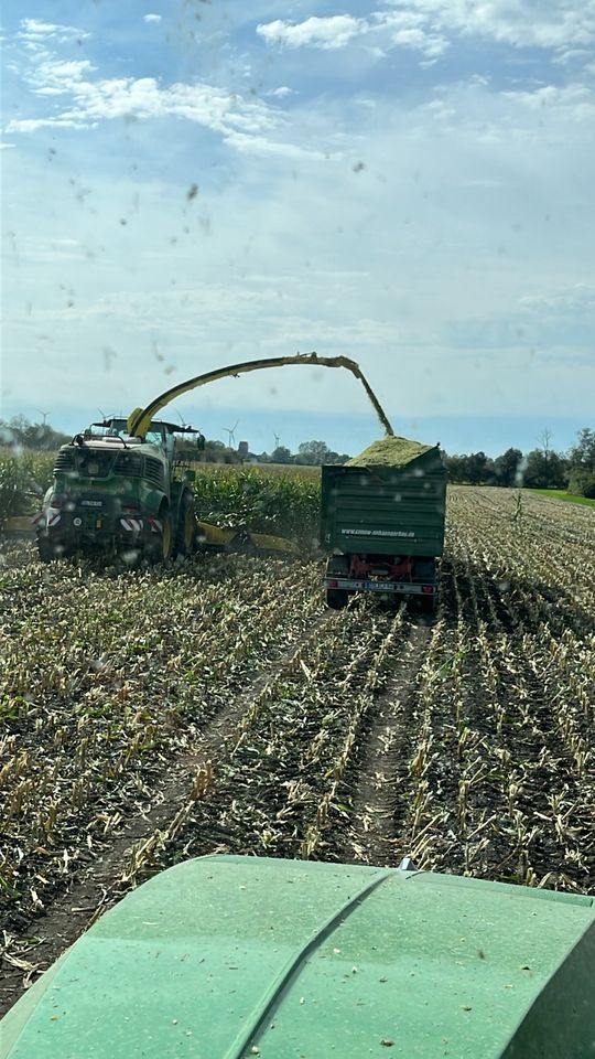 Transport von Mais Gras Getreide und ähnliche Produkte in Goldbeck