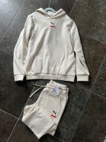 Puma Sportanzug Sweatpants Hoodie Sporthose Hose neu 164 Leipzig - Knautkleeberg-Knauthain Vorschau