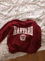 Harvard Pullover rot H&M Hessen - Pohlheim Vorschau
