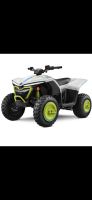 CFMoto CForce EV110 - Neu - Quad - Kinder Bayern - Klosterlechfeld Vorschau