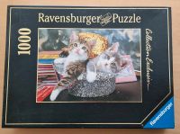 Ravensburger süße Katzenbabys, mit gl.Metalleffekt,  Puzzle 1000 Baden-Württemberg - Dielheim Vorschau