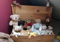 Teddybären Sammlung Sachsen-Anhalt - Querfurt Vorschau