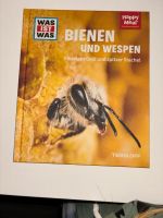 Bienen und Wespen - Flüssiges Gold und spitzer Stachel Niedersachsen - Wittmund Vorschau