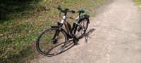 E-Bike Haibike sduro Trekking 2.0 Schleswig-Holstein - Itzehoe Vorschau