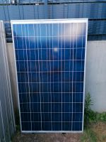 REC Solar PV Module 230W als Ersatzteil Austauschmodul Niedersachsen - Damme Vorschau
